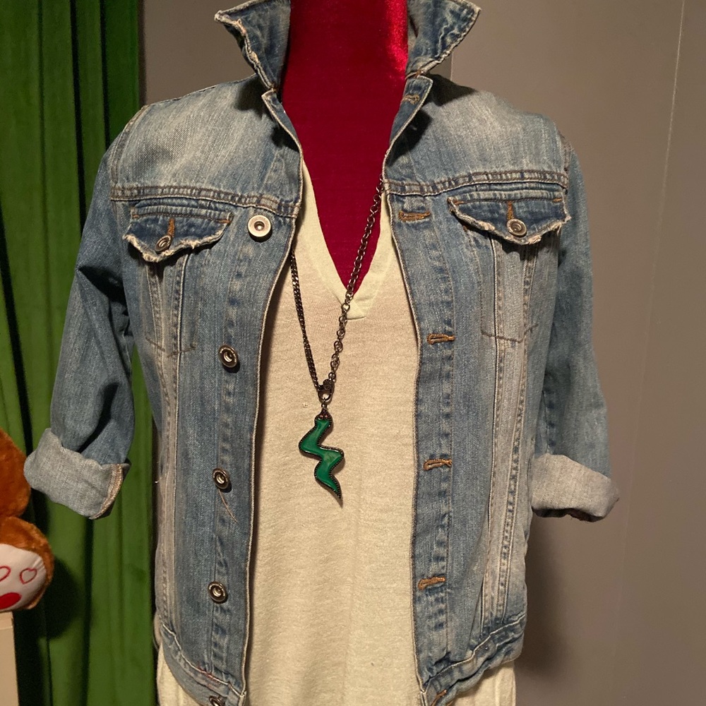Long chain with a crystallized snake - Picture 2 of 3